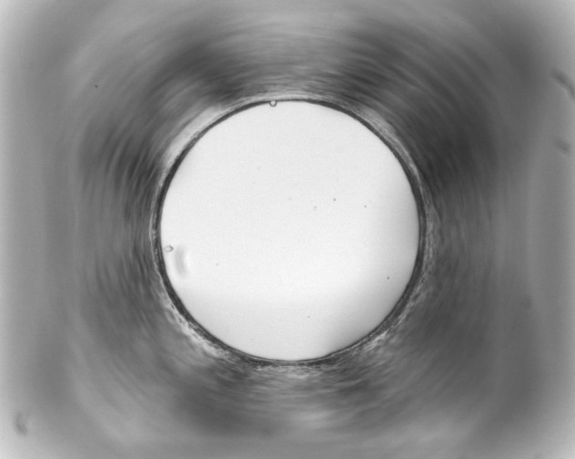 X0000100201197200806271635