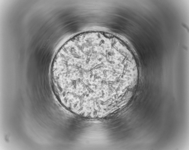 X0000100201199200806271635