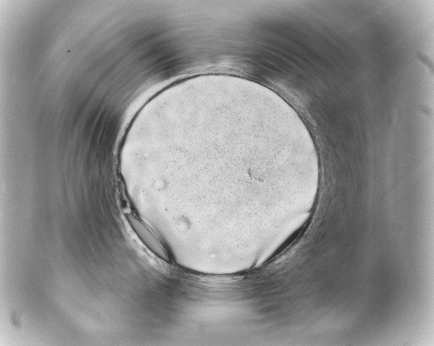 X0000100201200200806271635