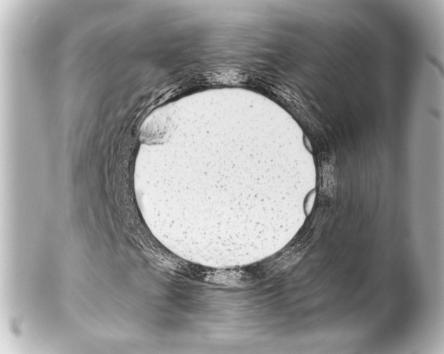 X0000100201201200806271634