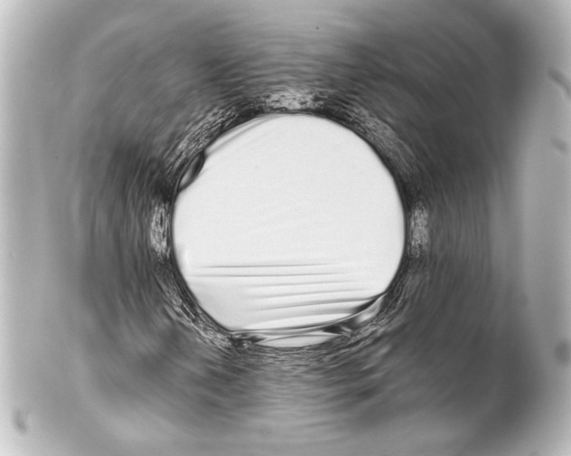 X0000100201202200806271634