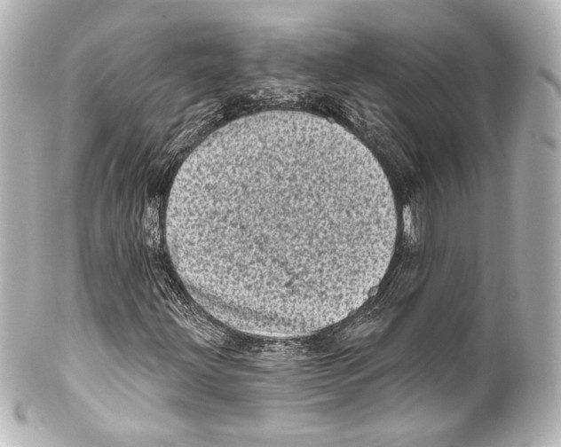 X0000100201203200806271634