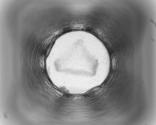 X0000100201204200806271634