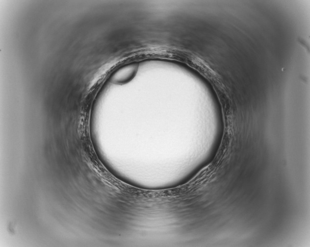 X0000100201208200806271634