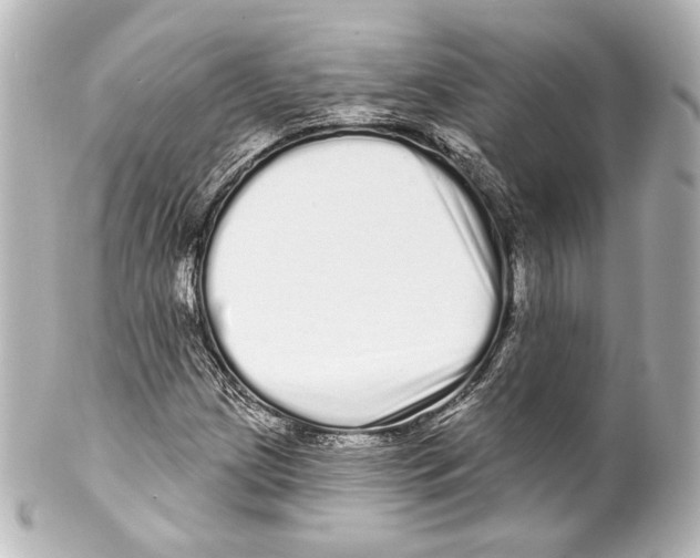 X0000100201209200806271634