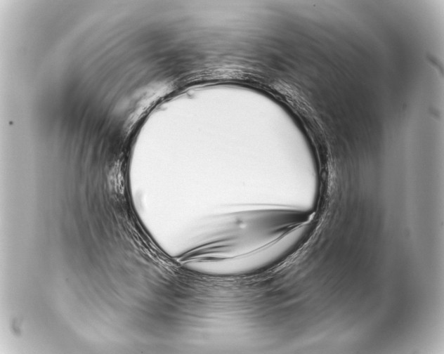 X0000100201210200806271634