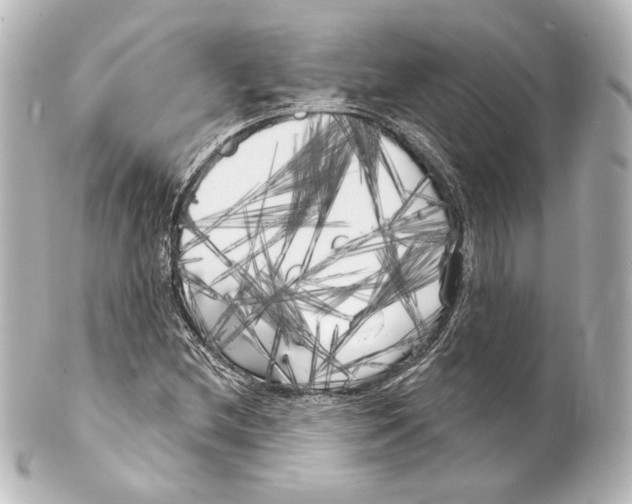 X0000100201212200806271634