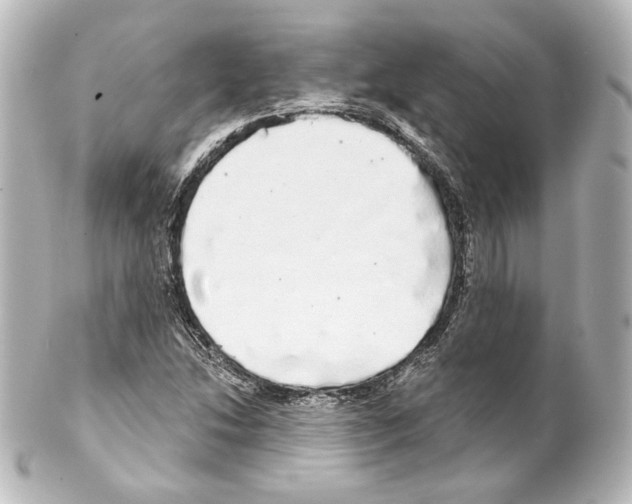 X0000100201214200806271634