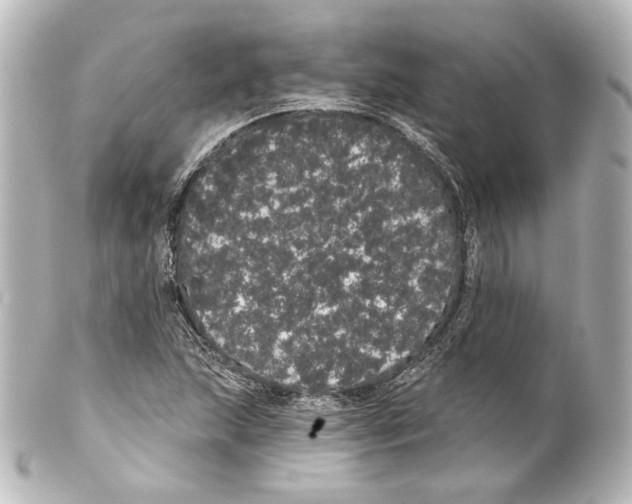 X0000100201215200806271634