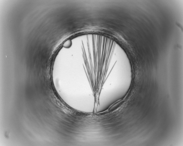 X0000100201216200806271634