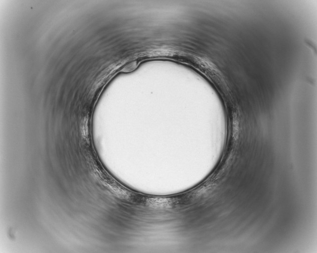 X0000100201217200806271634