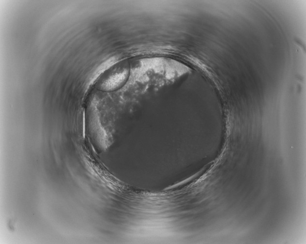 X0000100201219200806271634