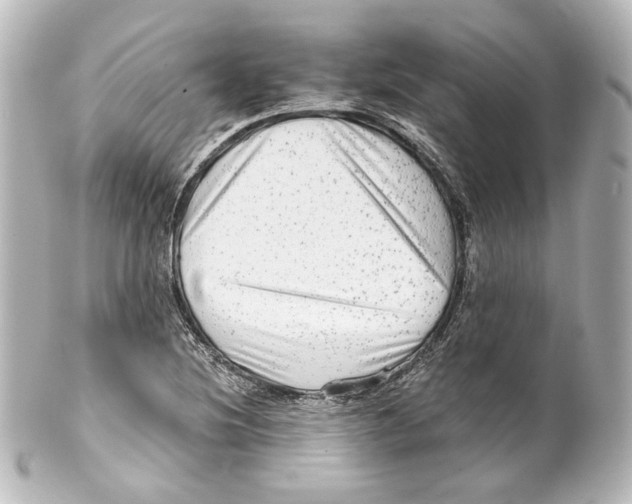 X0000100201220200806271634