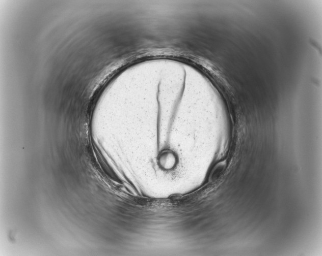 X0000100201221200806271634