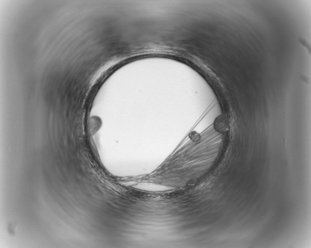 X0000100201222200806271634