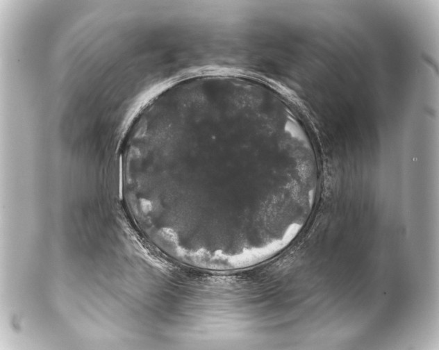 X0000100201223200806271634