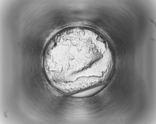 X0000100201224200806271634