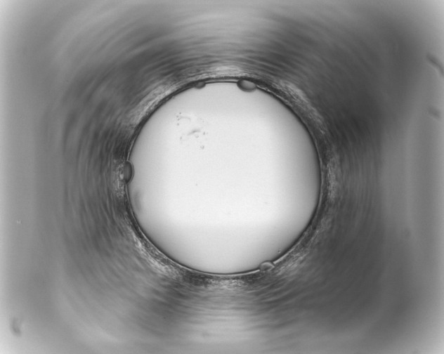 X0000100201225200806271634