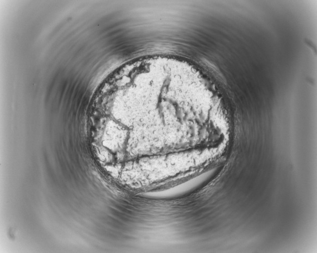 X0000100201226200806271634