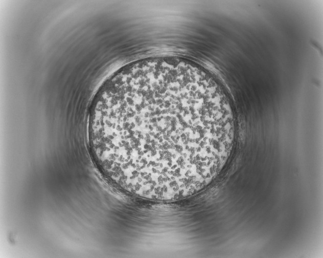 X0000100201227200806271634