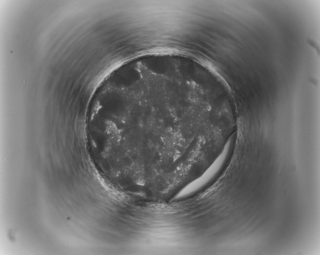 X0000100201229200806271634