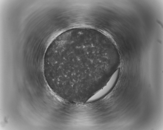 X0000100201231200806271634