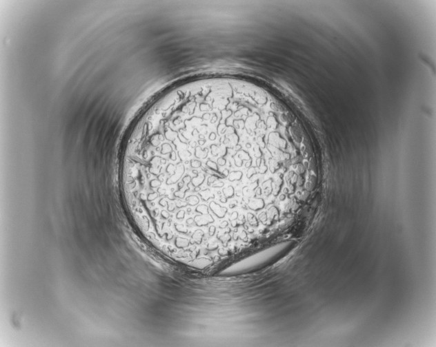 X0000100201232200806271634