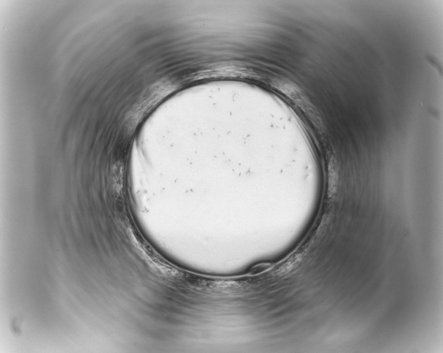 X0000100201233200806271634