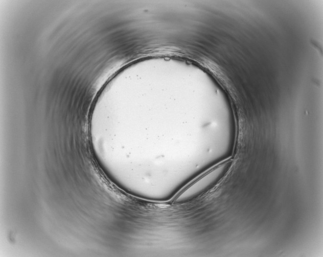 X0000100201234200806271634