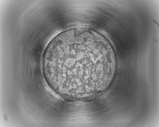 X0000100201235200806271634