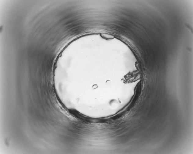 X0000100201236200806271634