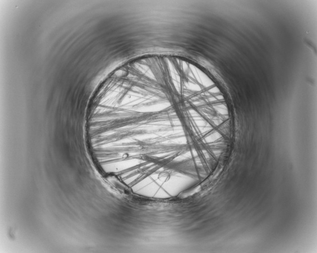 X0000100201237200806271634