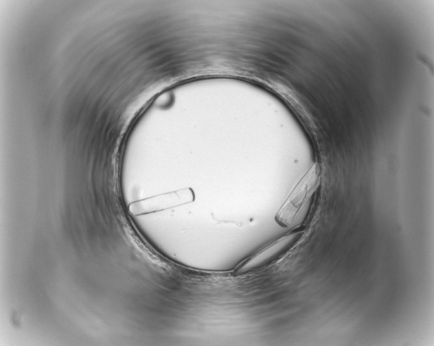 X0000100201238200806271634