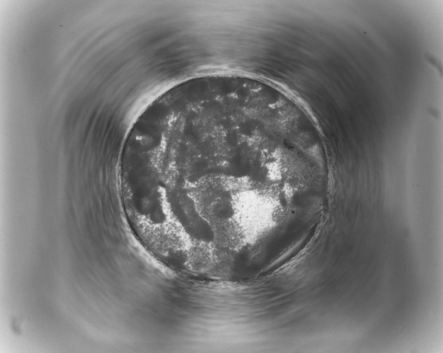 X0000100201239200806271634