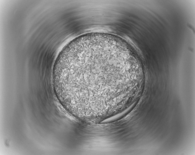 X0000100201240200806271635
