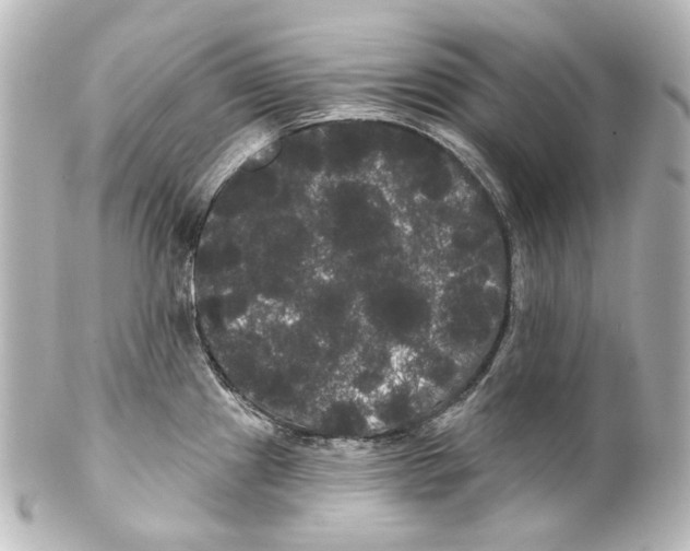 X0000100201241200806271635