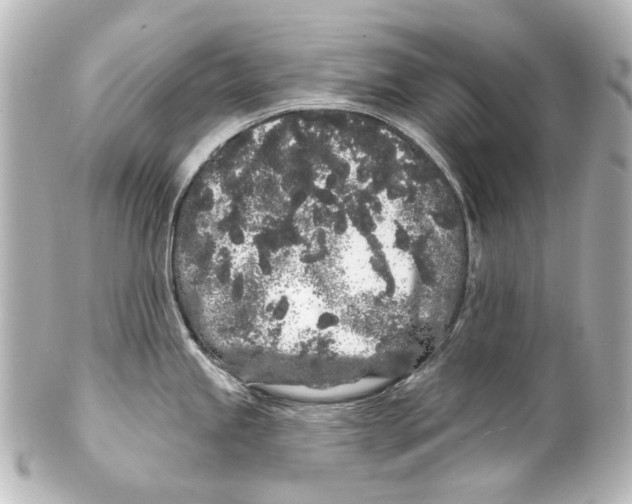 X0000100201245200806271635