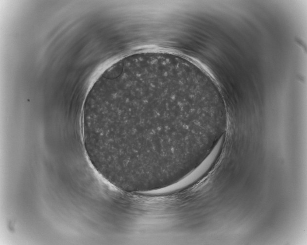 X0000100201247200806271635