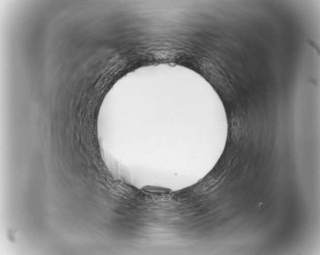 X0000100201249200806271634