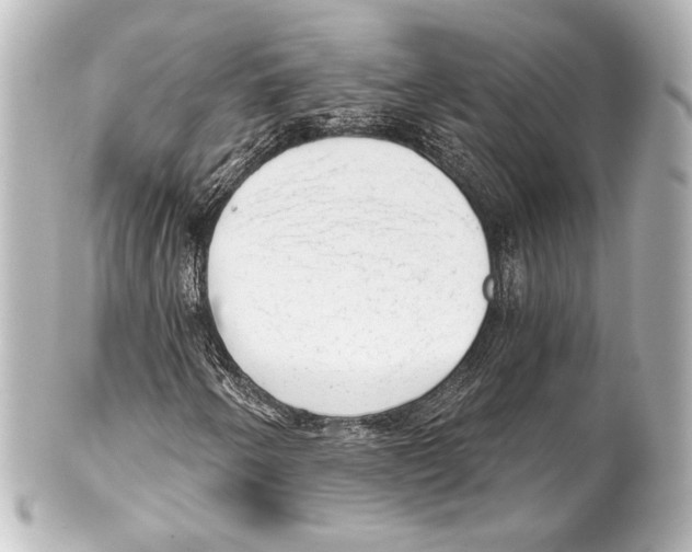 X0000100201250200806271634