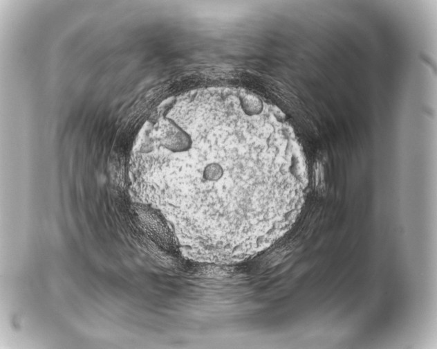 X0000100201251200806271634