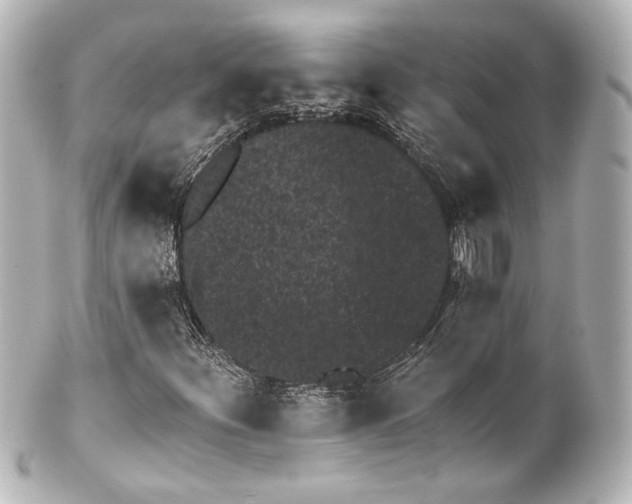 X0000100201252200806271634