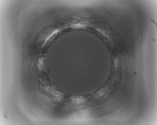 X0000100201254200806271634