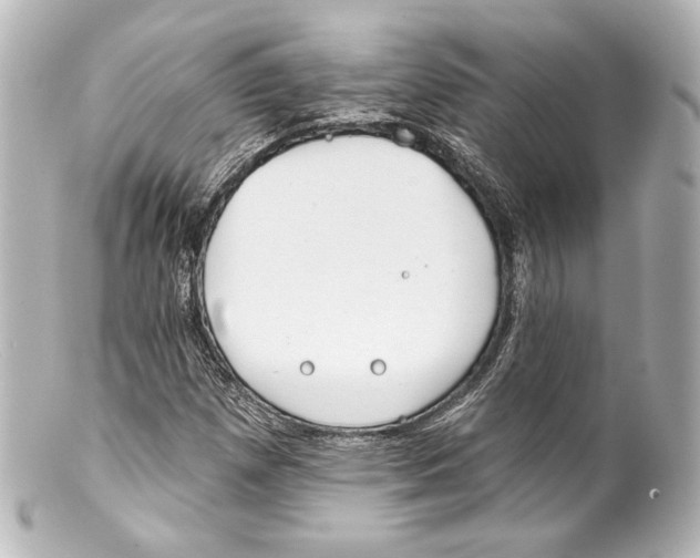 X0000100201257200806271634