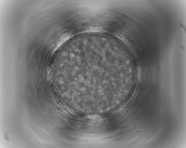 X0000100201258200806271634