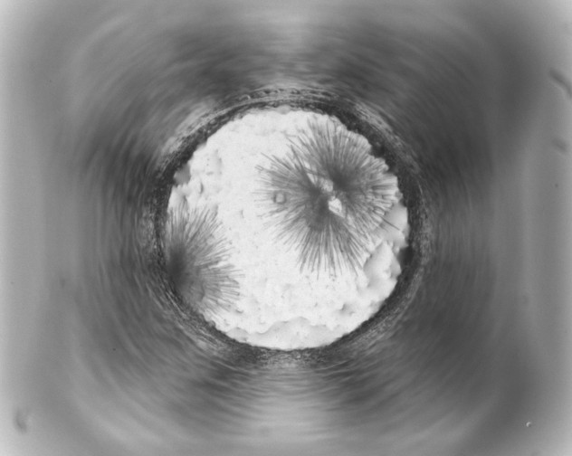 X0000100201259200806271634