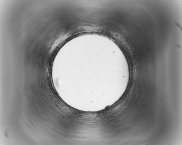 X0000100201261200806271634