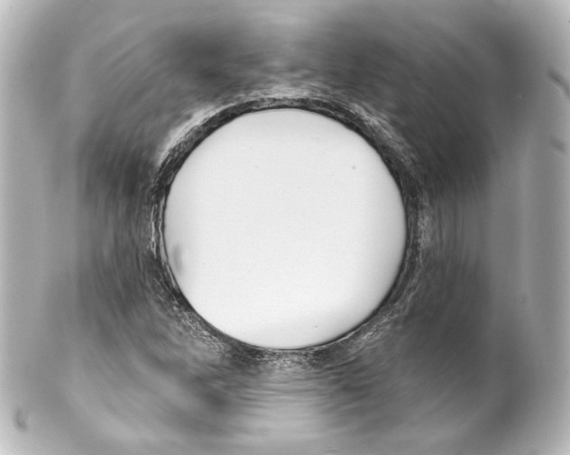 X0000100201262200806271634