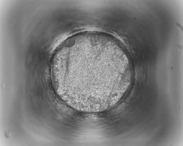 X0000100201263200806271634