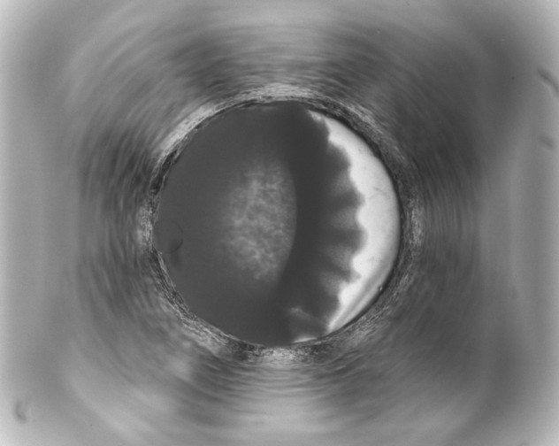 X0000100201266200806271634